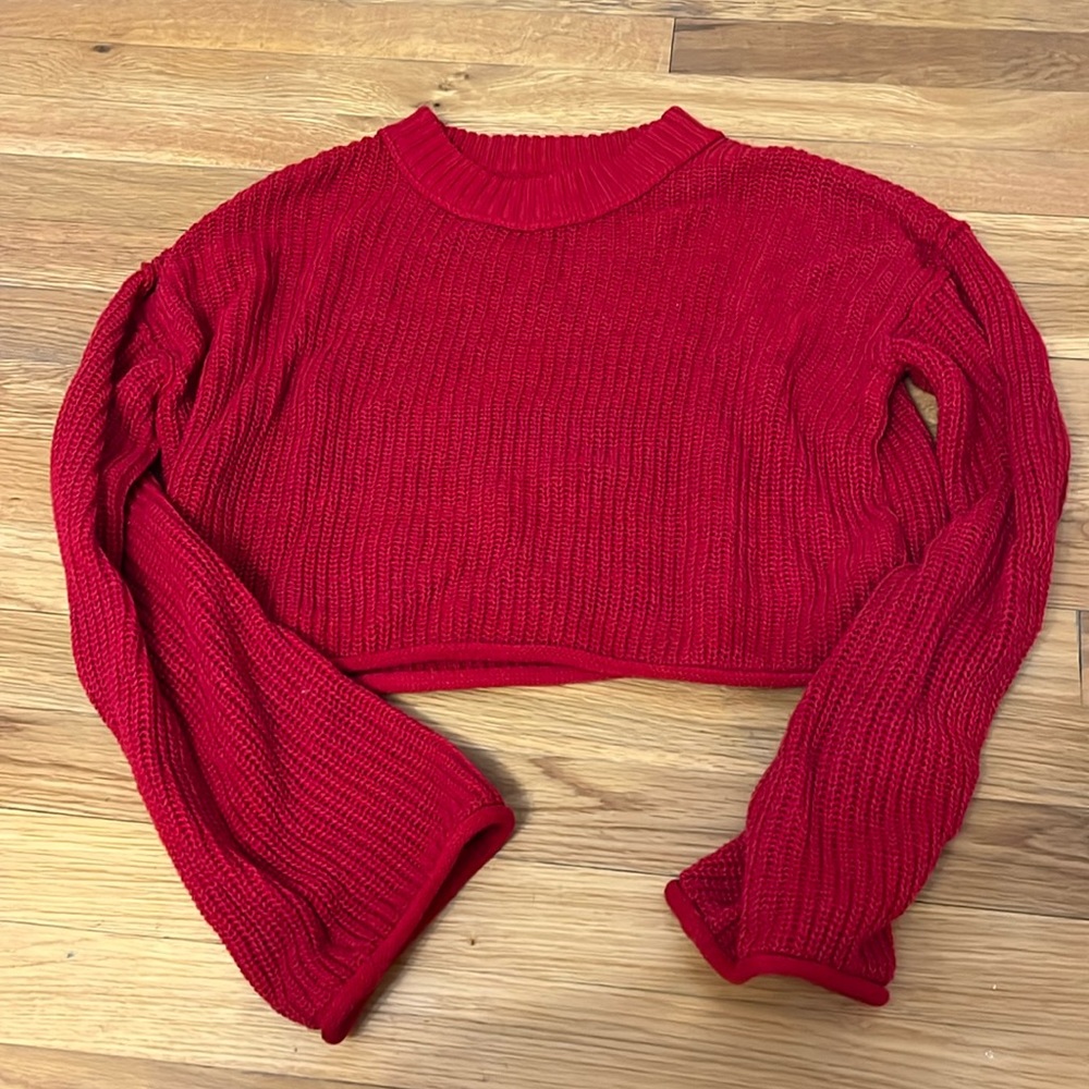 Wild fable cropped sweater